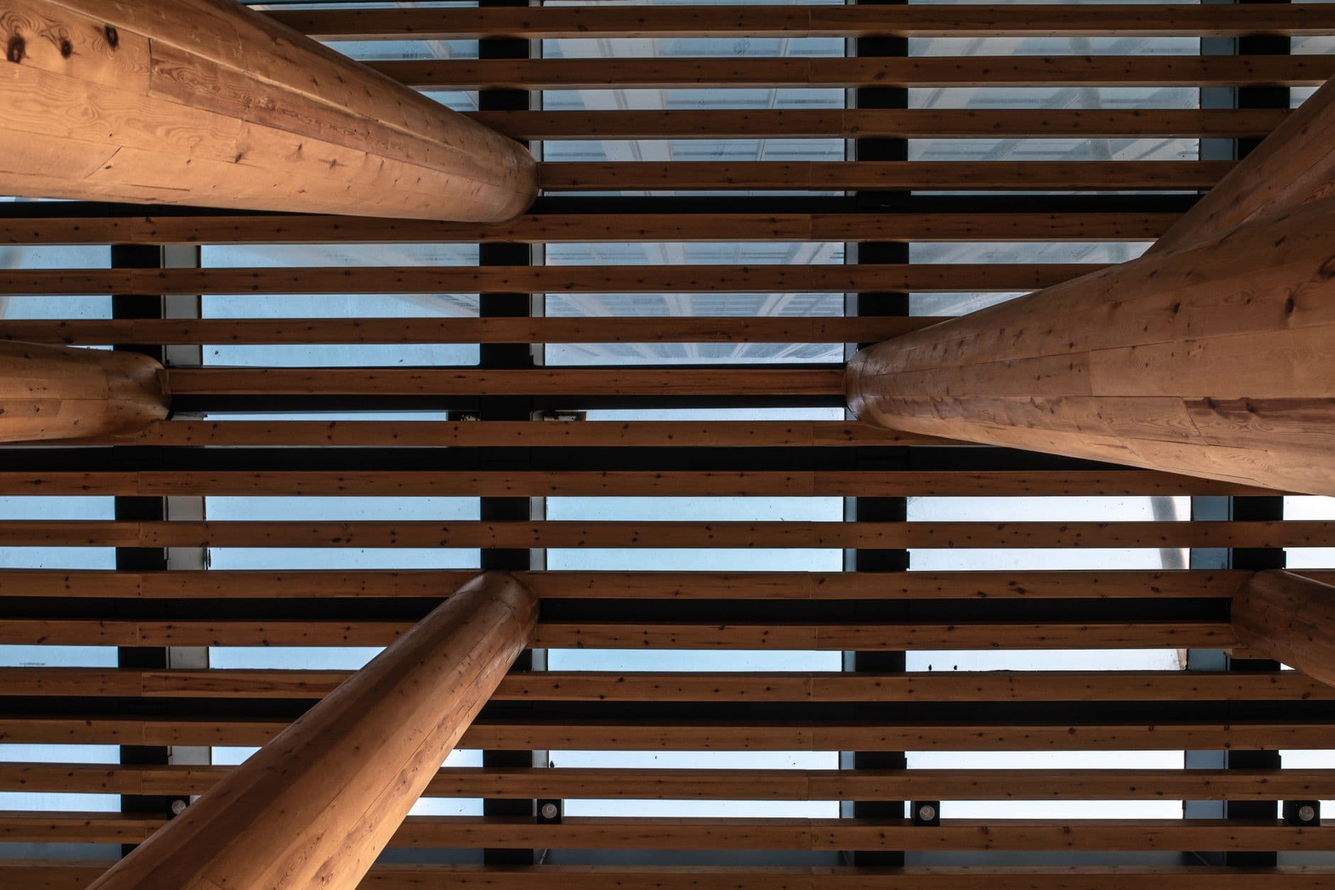 Timber beam ceiling structure seen from below