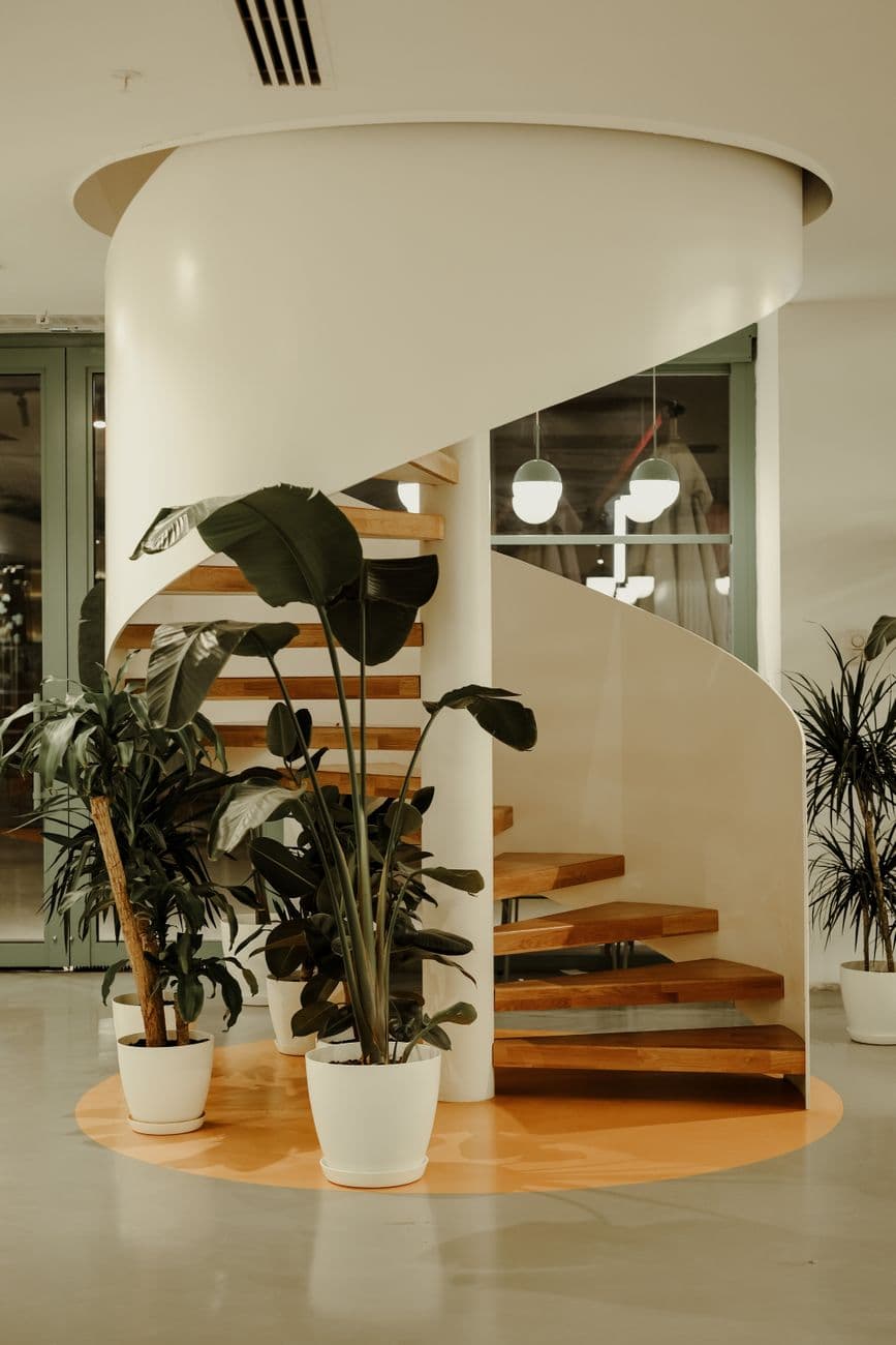 Open-tread timber stair with a curved wall and indoor planting